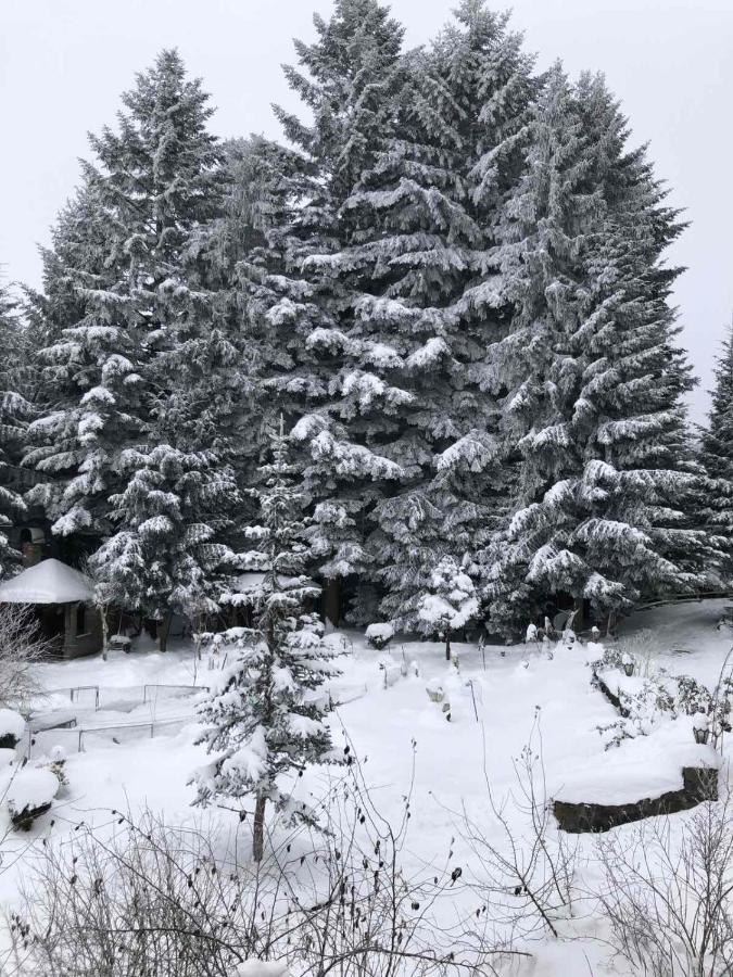 Апартаменти Олівія Skhidnytsia Exterior foto