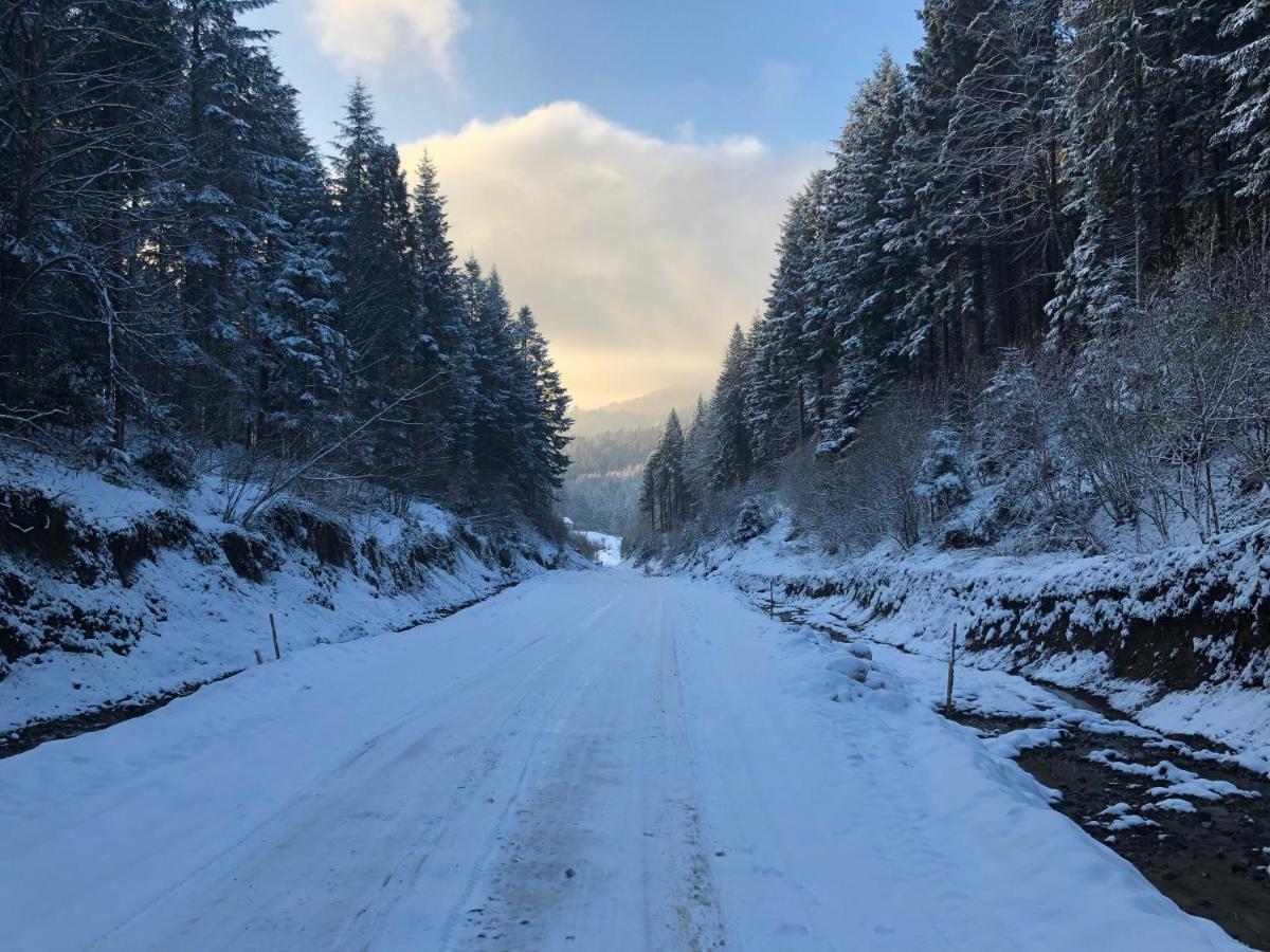 Апартаменти Олівія Skhidnytsia Exterior foto